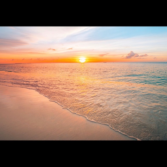 Meet your Posher, Sophia - Picture 1 of 1